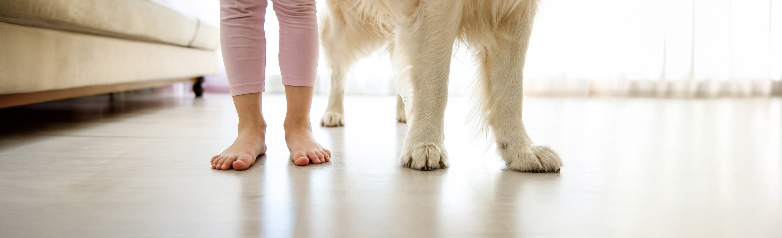 Child,Legs,And,Dog,Paws,On,The,Floor